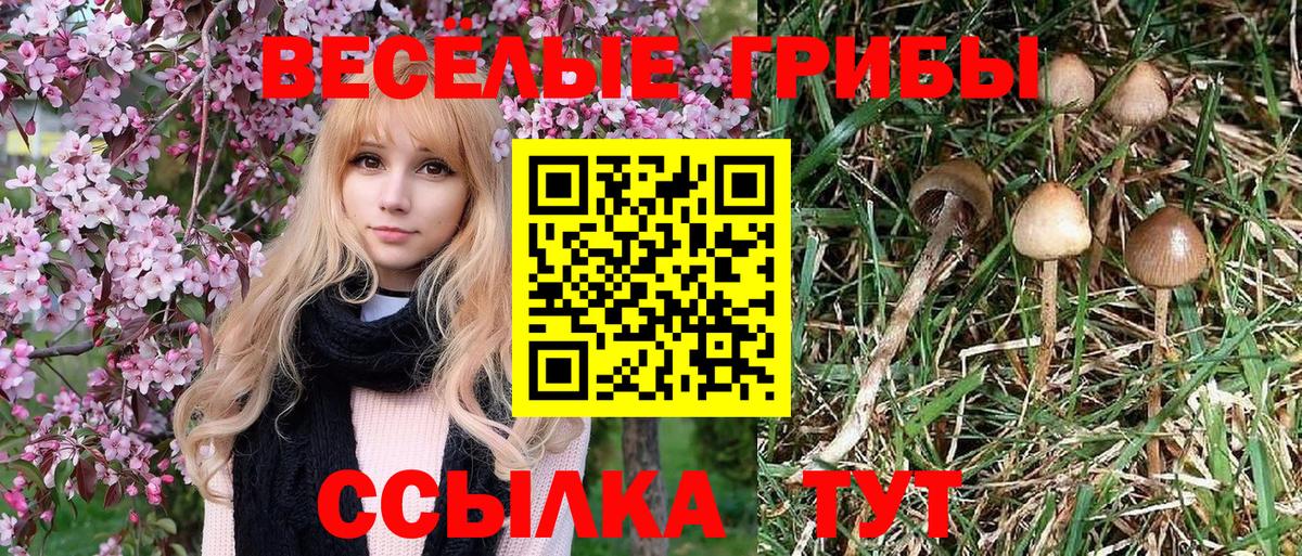 Псилоцибиновые грибы ЛСД  купить  сайты  Волгоград  Вход с VPN 